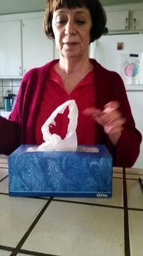 Rangez vos sacs en plastique... dans une boîte à mouchoirs !