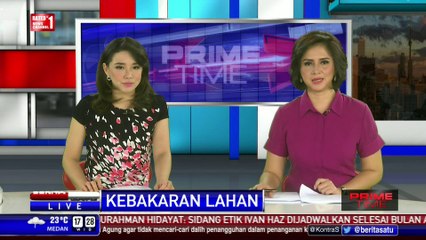 50 Hektare Lahan di Kabupaten Meranti Terbakar