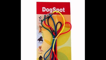 Canine Training Oceanside