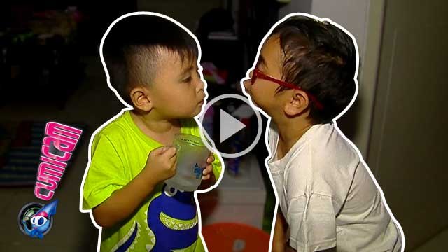 Mengharukan! Daus dan Babang Saling Sayang - Cumicam 17 Maret 2016