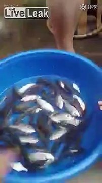 Des villageois chinois mangent des poissons encore vivants