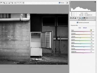 Un noir-blanc correct avec Camera-Raw