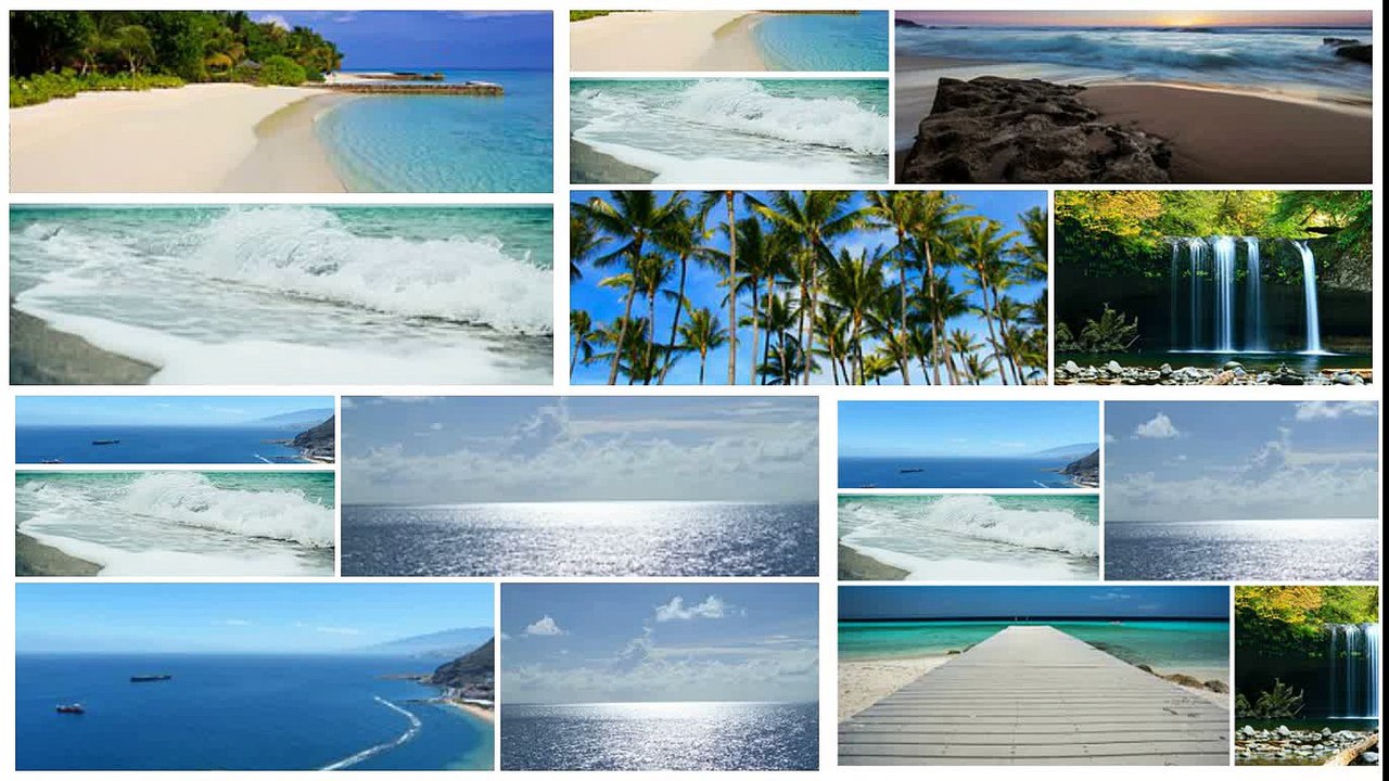 NY News Jean Luc Pouchet Webdynamic World General Commander 2008 2011. MPS 2.3 KEYWORDS LYCEE mairie JEAN LUC POUCHET de Vanves   La Garenne Colombes   Bois Colombes   Fontenay aux Roses   Sèvres   Villeneuve la Garenne   Le Plessis Robinson   Sceaux