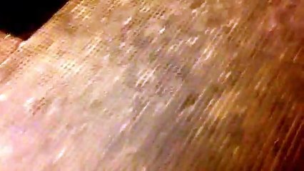 Epidemic of voyeurism caused by the President of the United States (News World)