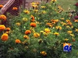 Lahore: Weather becomes pleasant after rain -17 March 2016