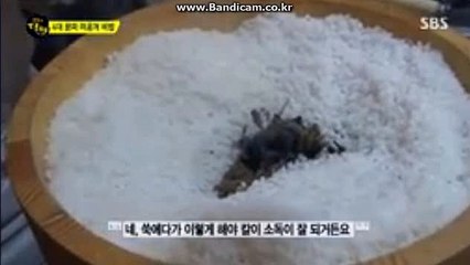 #믿을수있는 스포츠 토토 솔루션 BKSOFT 비케이솔루션 입니다 카톡: haricuty스카이프:haricuty