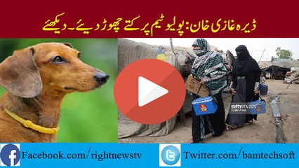 D.G Khan Dogs Released Behind the Polio Team