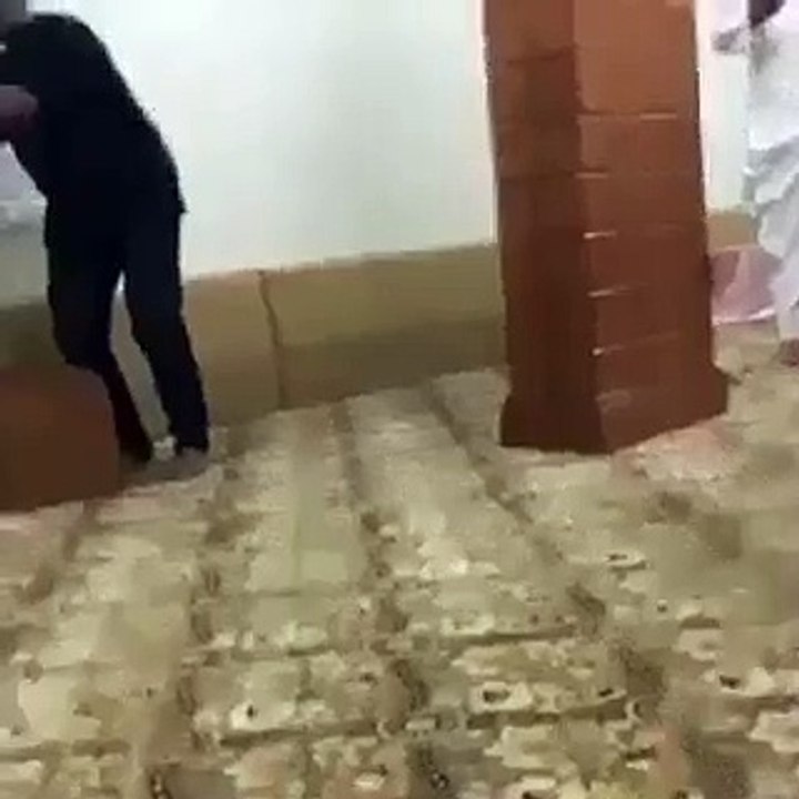 new funny videos