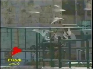 Ciljeta - Tekila (Official Video HD)