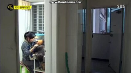 #토토 솔루션 제작 전문 카톡:haricuty 스카이프:haricuty