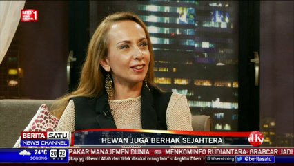 DK Show: Hewan juga Berhak Sejahtera #3
