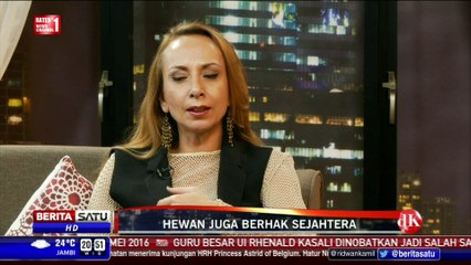 DK Show: Hewan juga Berhak Sejahtera #5