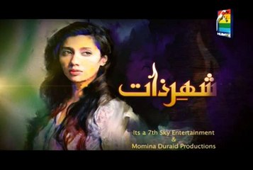 Shehr e Zaat by Hum Tv Episode 15 - Part 1/4