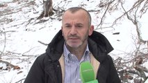 Moratorumi i pyjeve frenon prerjet, por... - Top Channel Albania - News - Lajme