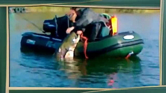 Непонятки на Рыбалке. Приколы на Рыбалке