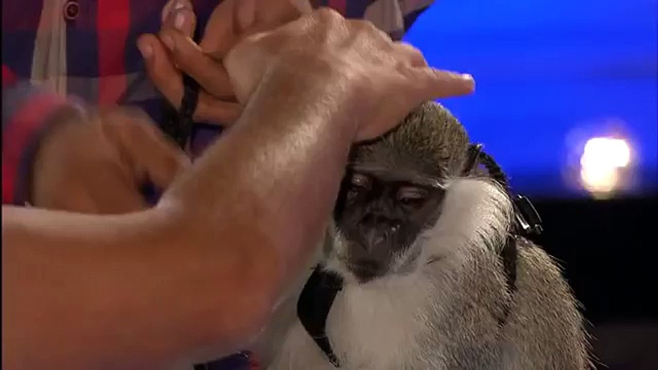 Acun - Hüsnü Sikerim Belanı Ha Yavşak