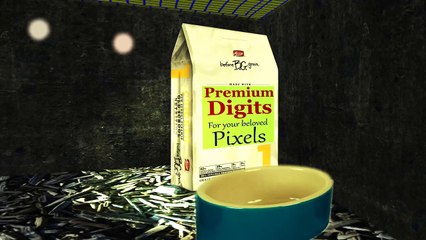 How To Care for your PET PIXELS - Cómo cuidar a sus mascotas en píxeles