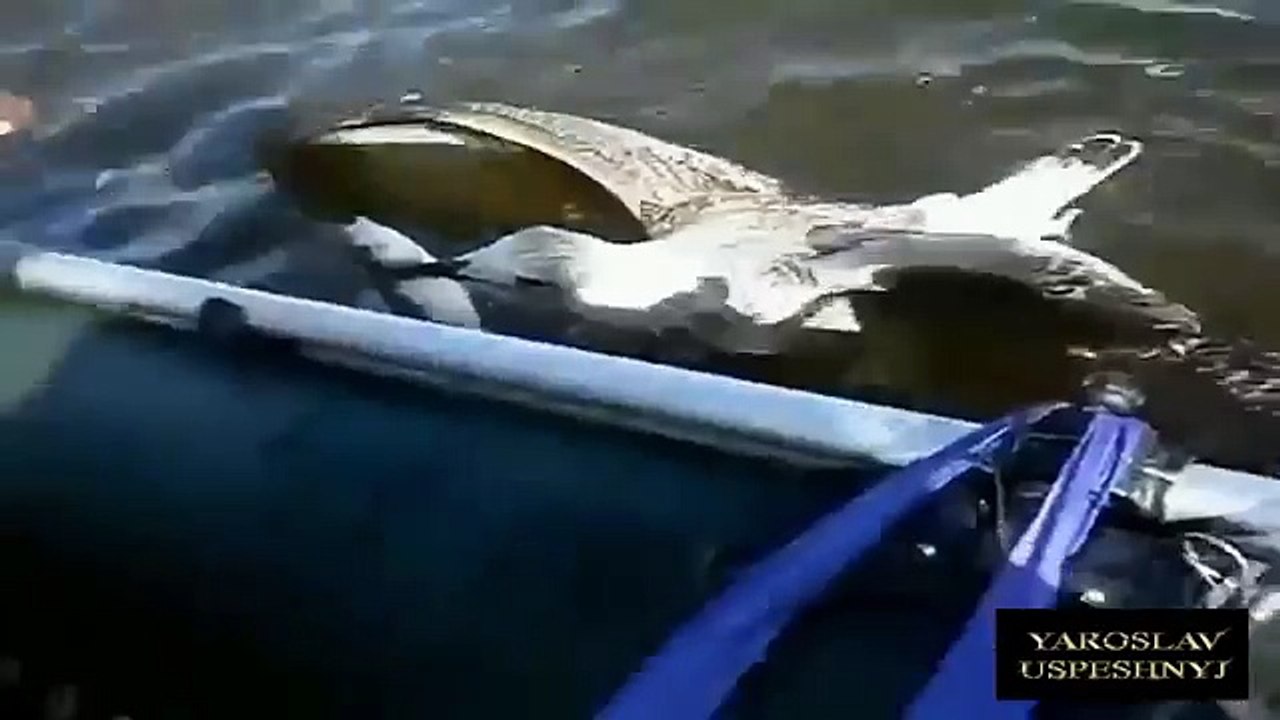 ПРИКОЛЫ НА РЫБАЛКЕ Tonna Yumora