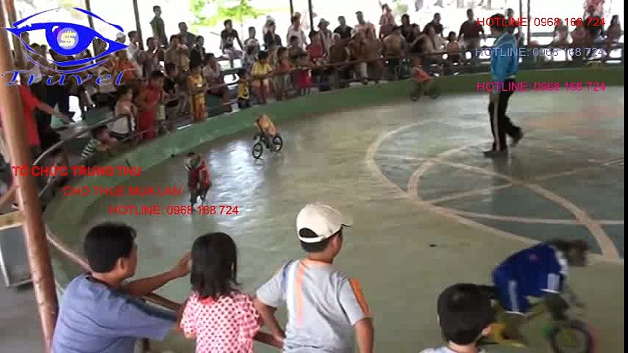 Cho thuê, biểu diễn xiếc khỉ tết thiếu nhi LH: 0968 168 724