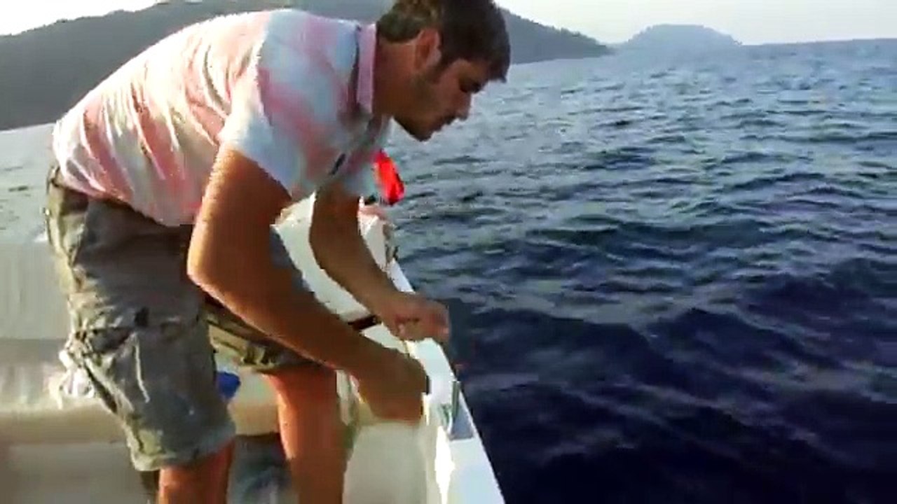 Akya Avı
