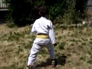 adam heian nidan