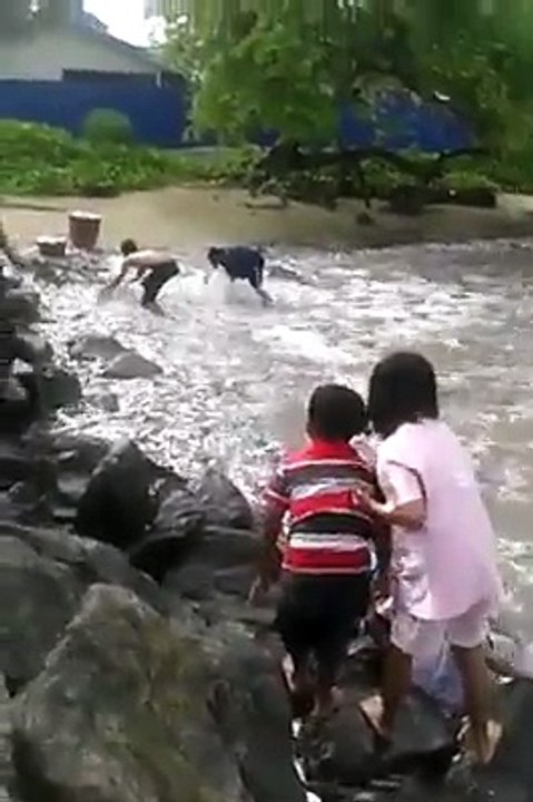 Balık Sürüsü Dedikleri Bu Olsa Gerek