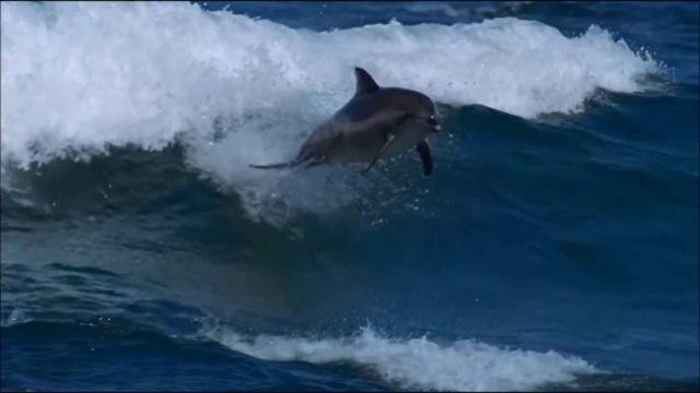 Magnifiques images de l'Océan - Musique Thomas Bergersen & Voix Bulgares