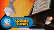 Looney Tunes: Rhapsody Rabbit
