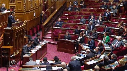 Révision constitutionnelle : " Nous aurions tort de renier la force des symboles ! "