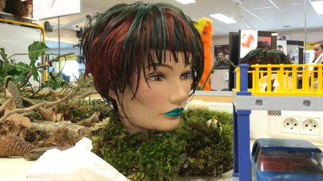 Concours Une tête, deux mains