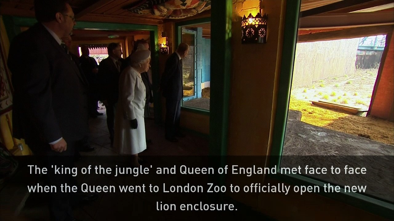 The 'King of the Jungle' meets the Queen of Eng...
