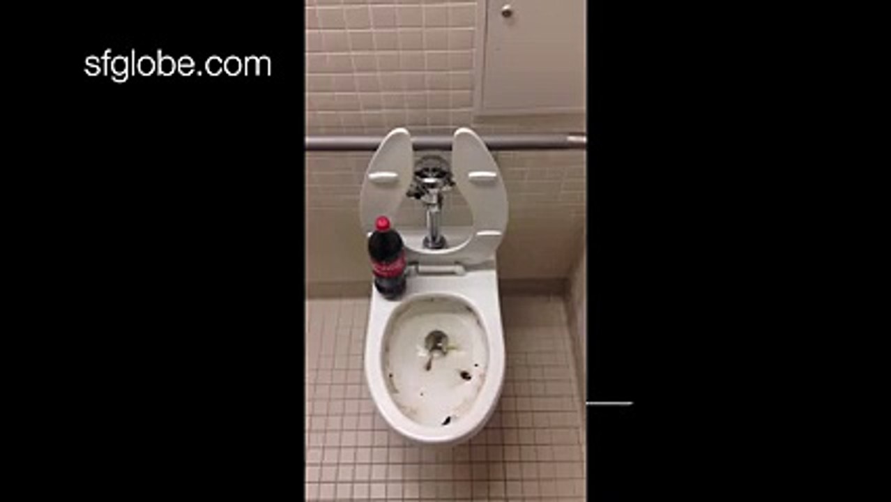 Kola İle Tuvalet Nasıl Temizlenir Yok Böyle Bir Şey