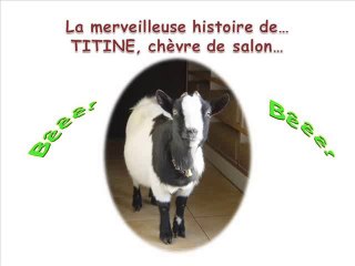 TITINE_LA_MERVEILLEUSE_HISTOIRE_D_UNE_CHEVRE_DE_SALON