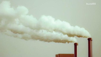 In rare occurrence, economy went up, carbon emissions down