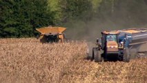 CAT Lexion 595R Harvesting Corn Up Hill