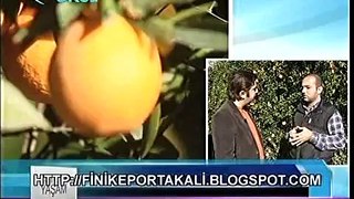 MEHMET EFE TRT OKUL TARIM GIDA YAŞAM 57. BÖLÜM FİNİKE PORTAKALI 4 MART 2013 2.KISIM