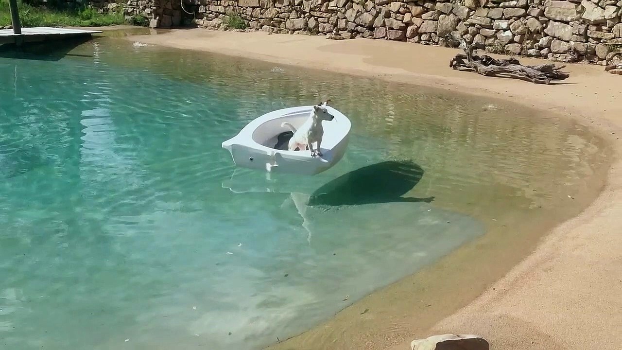 Piscine naturelle