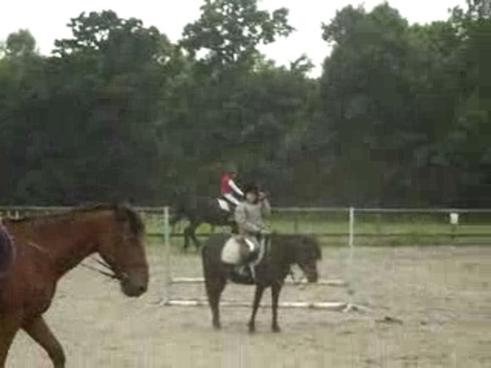 moi et domino détente au galop