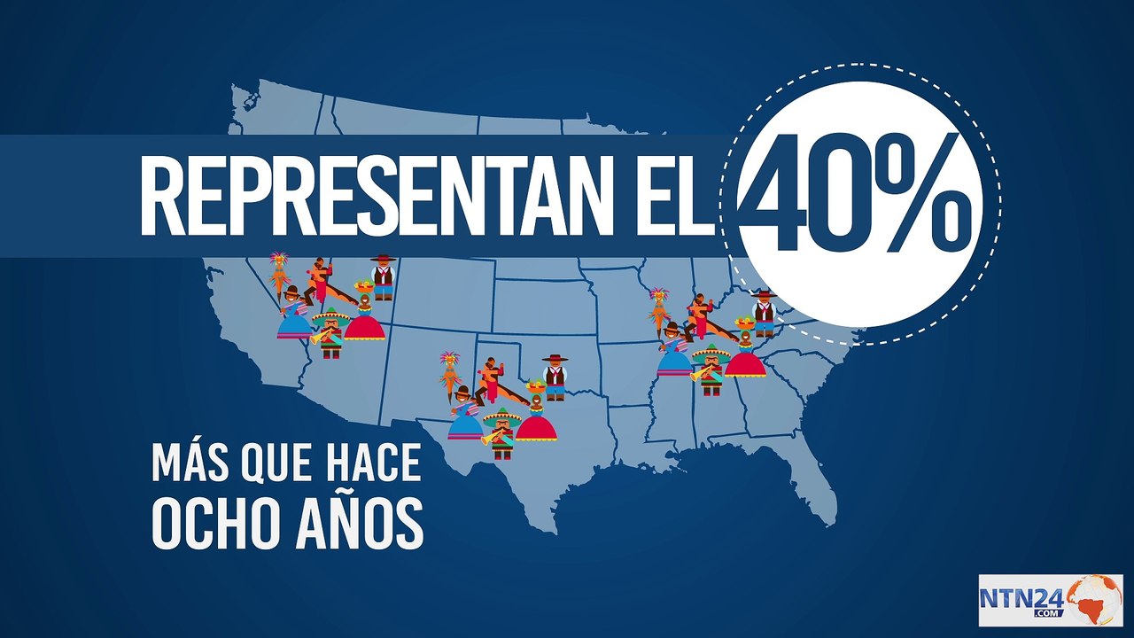 RECOMENDADO NTN24 | ¿Cuál es la importancia del voto latino en las presidenciales de Estados Unidos?