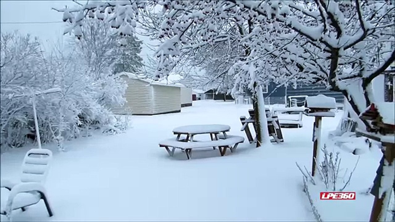 Fresh April Snow w Birds Singing