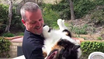 Ce chien a 2 museaux. Du jamais vu!