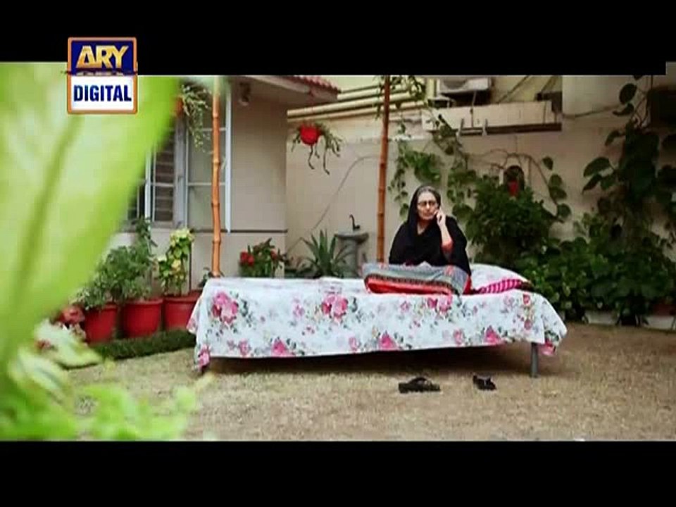 Dil-e-Barbaad Episode 218 on Ary Digital