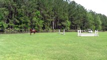 Alex Equitation Over Fences, WHA 2011-12 Hunter Jumper Series Walk, Trot, Canter Cross Rails Class