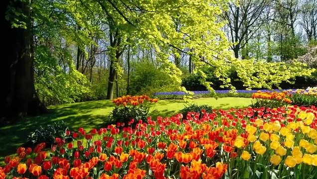 ❤❤Tanti Auguri Vita Mia!❤❤