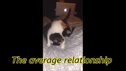 The average relationship