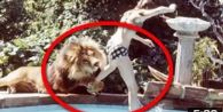 Animal Attacks On Humans Most Shocking Attacks Caught On Tape 2016