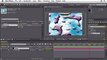 Adobe After Effects CS5 BASIC EFFECTS  Creating a Spinning Globe with CC Sphere