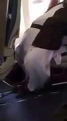 Moulana Tahir ashrafi Plane video leaked ( jahaz main jahaz )