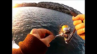 Rockfishing Menorca Jurelas pesca y suelta 12 12 2012