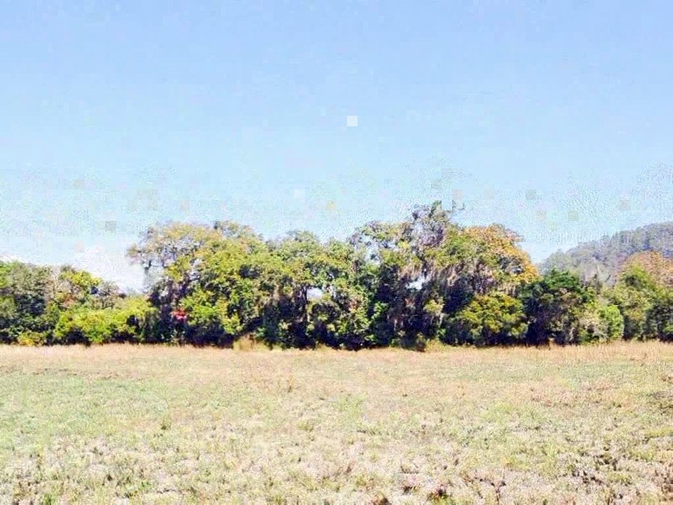 Venta de Lotes en La esperanza intibuca